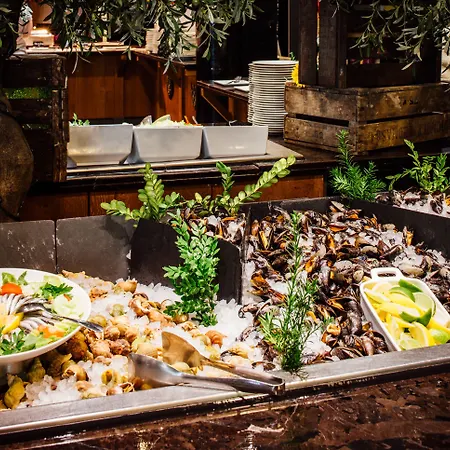 酒店 Dream Castle Marne La Vallee 马尼库尔勒翁格尔